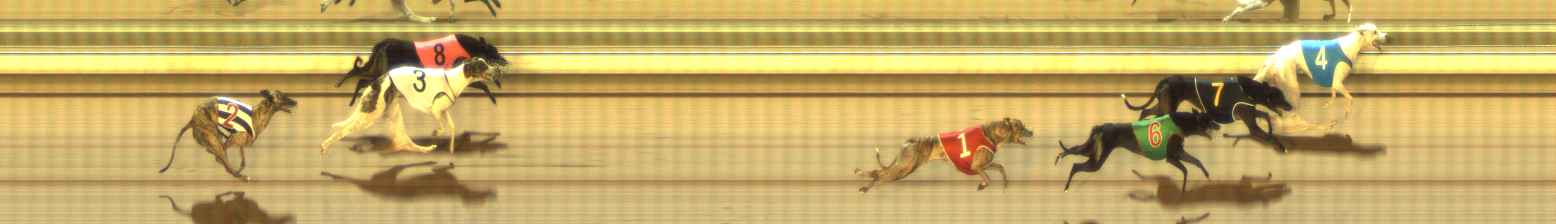 Photo finish for The Meadows Race 8