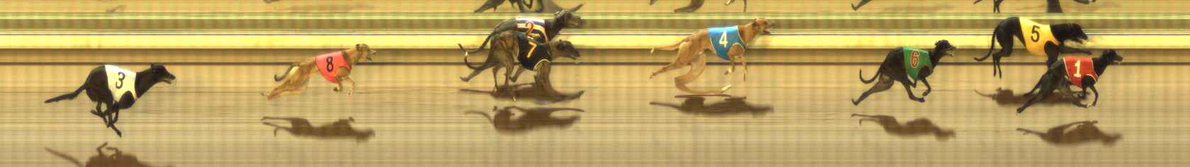 Photo finish for The Meadows Race 9