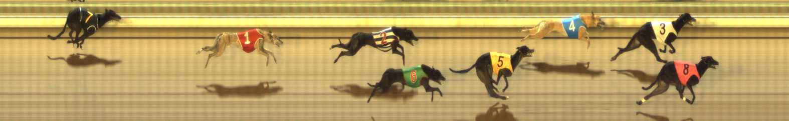 Photo finish for The Meadows Race 10