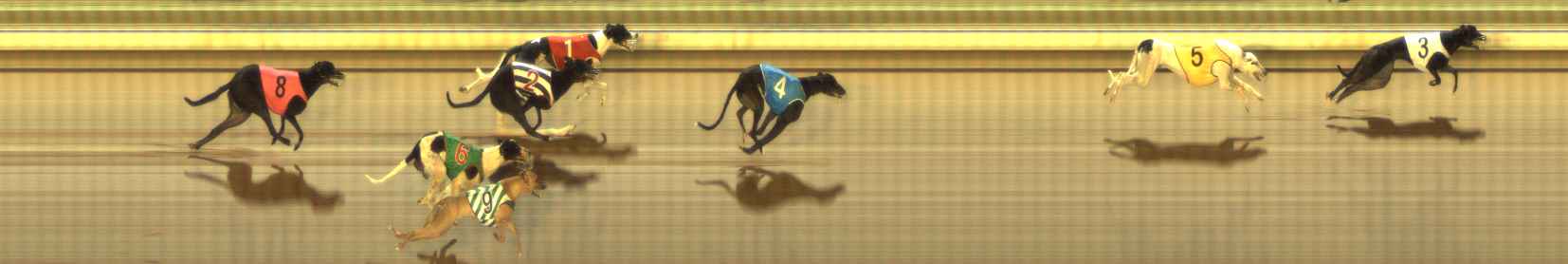 Photo finish for The Meadows Race 11