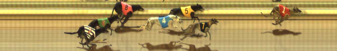 Photo finish for The Meadows Race 12