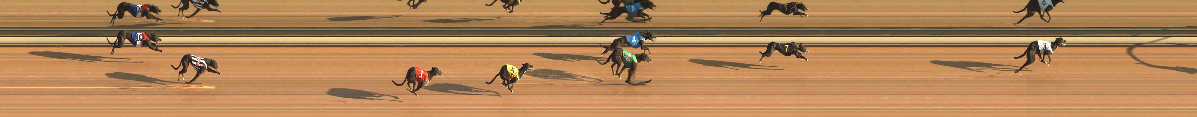 Photo finish for The Meadows Race 1