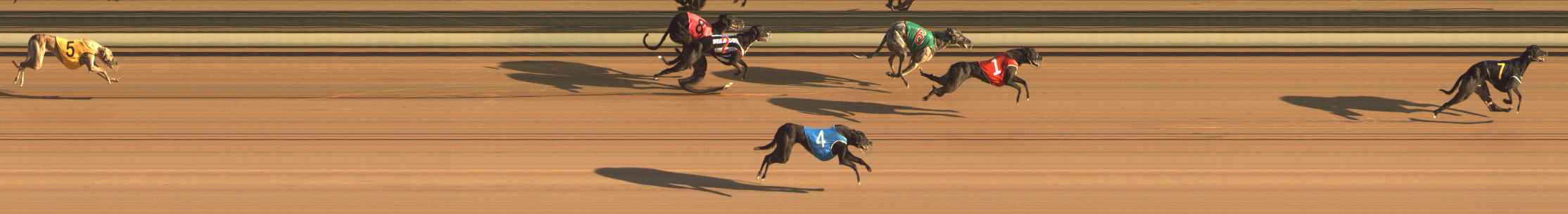 Photo finish for The Meadows Race 1