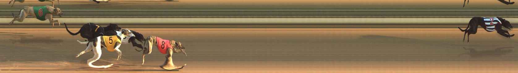 Photo finish for The Meadows Race 2
