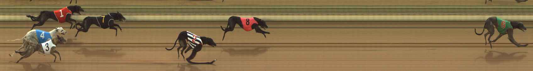Photo finish for The Meadows Race 4
