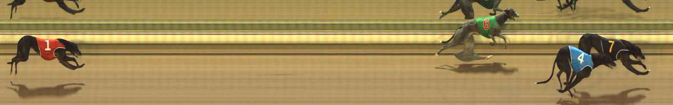 Photo finish for The Meadows Race 5