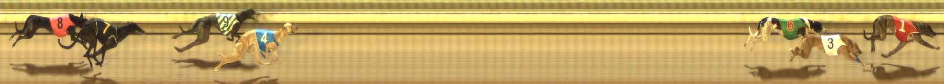 Photo finish for The Meadows Race 6