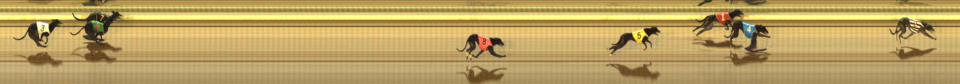 Photo finish for The Meadows Race 10