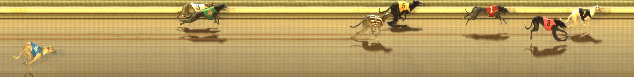 Photo finish for The Meadows Race 11