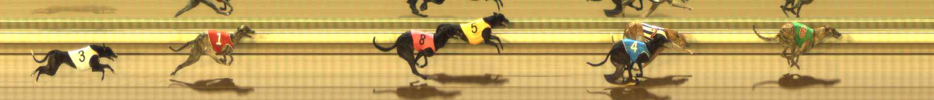 Photo finish for The Meadows Race 12