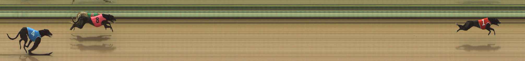 Photo finish for The Meadows Race 1