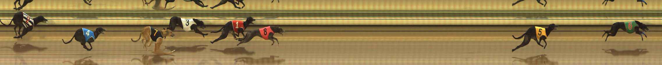 Photo finish for The Meadows Race 2