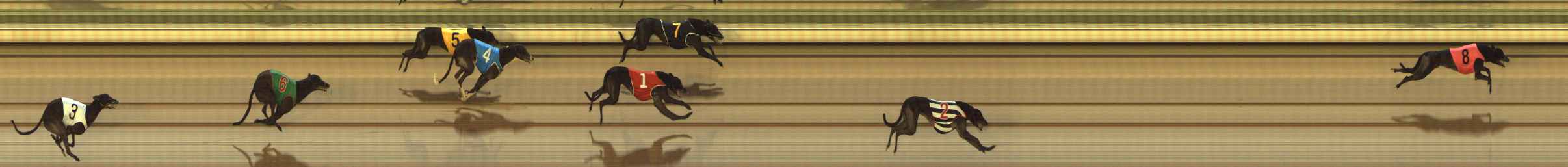 Photo finish for The Meadows Race 3