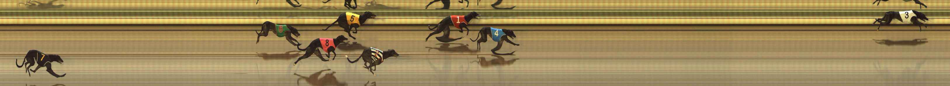 Photo finish for The Meadows Race 4