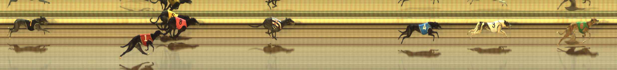 Photo finish for The Meadows Race 5