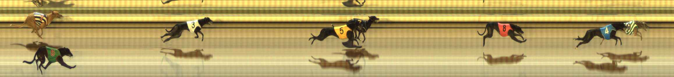 Photo finish for The Meadows Race 6