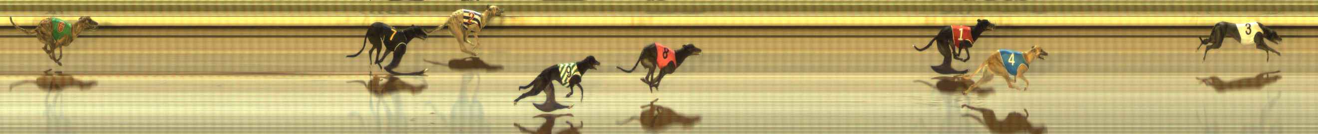 Photo finish for The Meadows Race 8