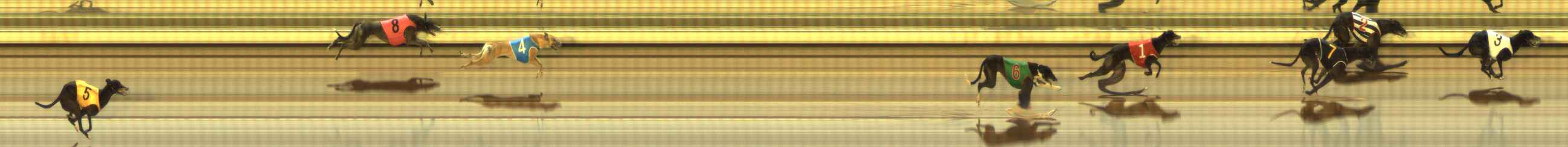 Photo finish for The Meadows Race 9