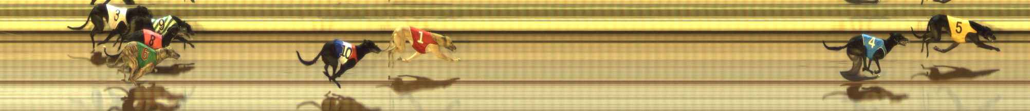 Photo finish for The Meadows Race 10