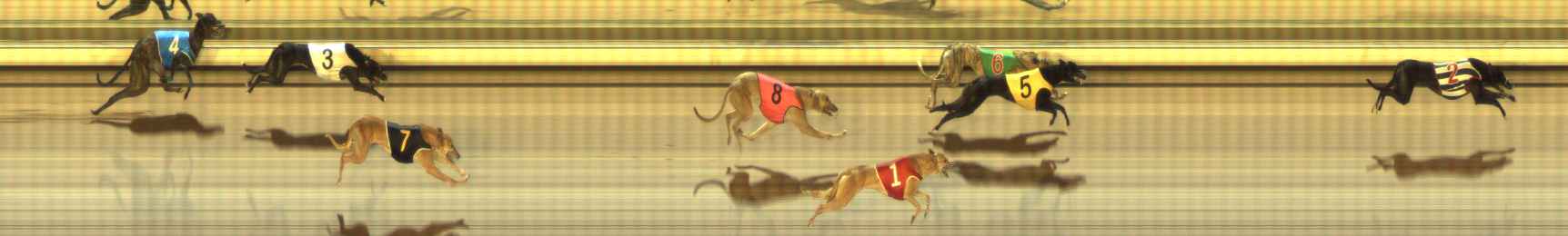 Photo finish for The Meadows Race 11