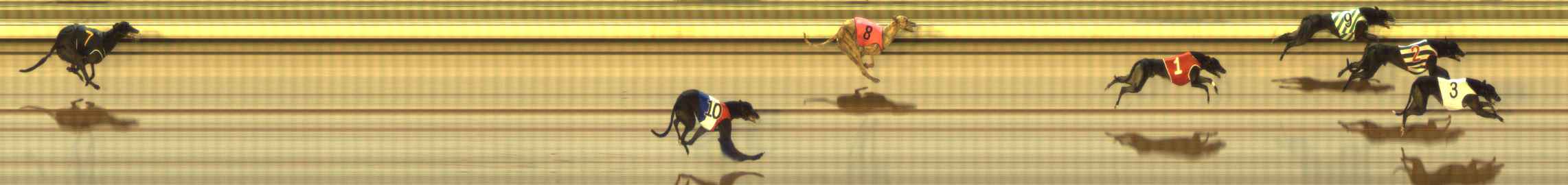 Photo finish for The Meadows Race 12