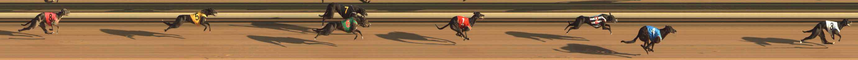 Photo finish for The Meadows Race 1