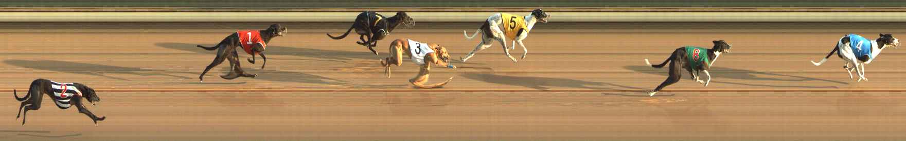 Photo finish for The Meadows Race 2