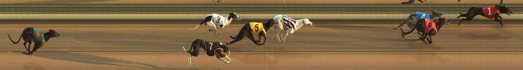 Photo finish for The Meadows Race 3