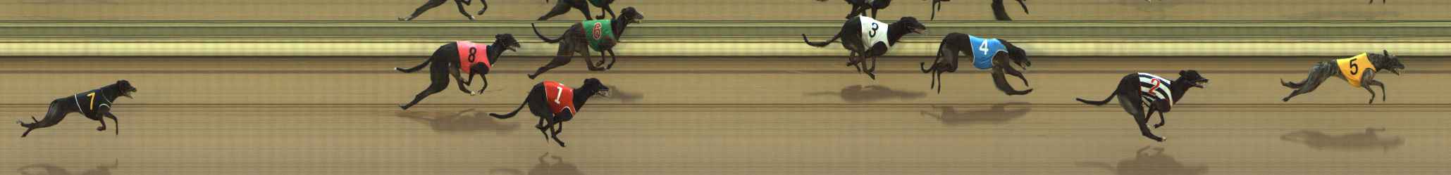 Photo finish for The Meadows Race 4