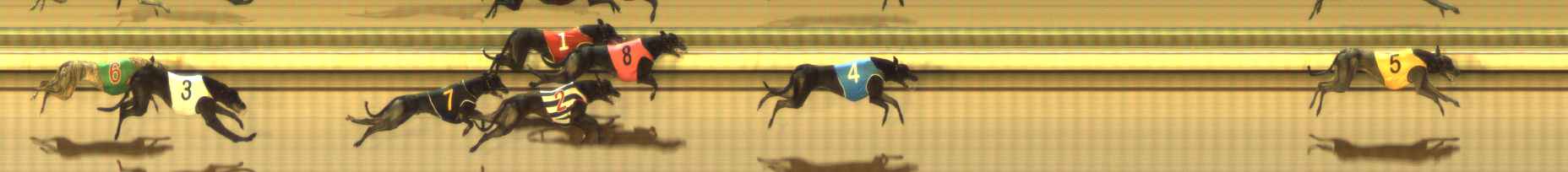 Photo finish for The Meadows Race 7
