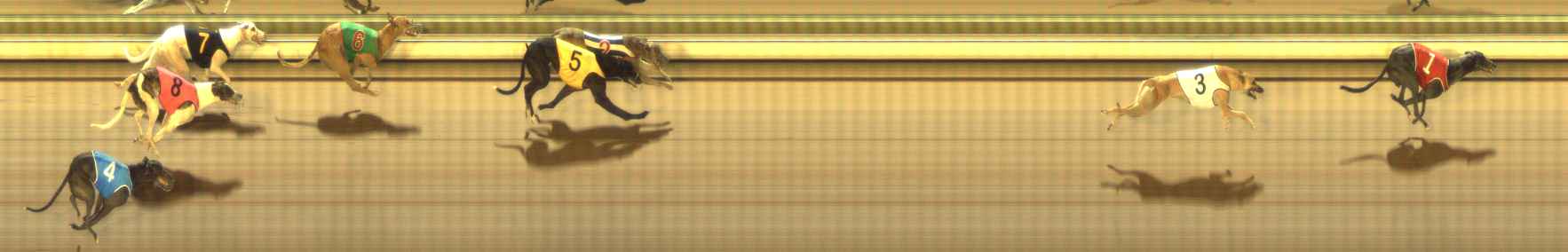 Photo finish for The Meadows Race 8