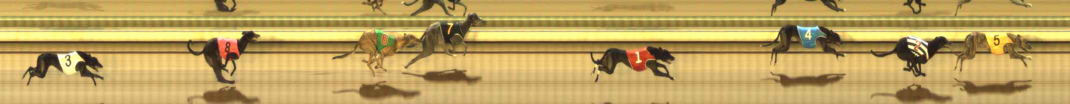 Photo finish for The Meadows Race 9
