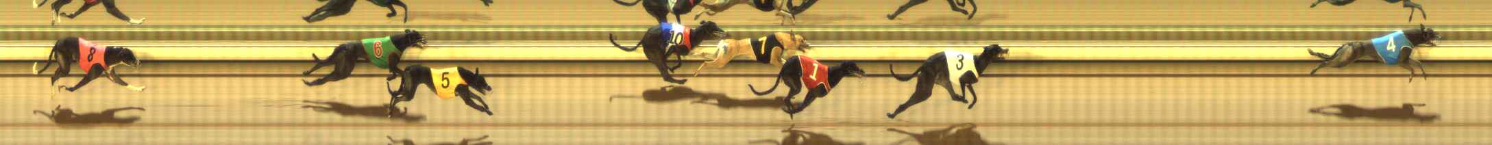 Photo finish for The Meadows Race 10