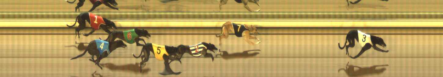 Photo finish for The Meadows Race 11
