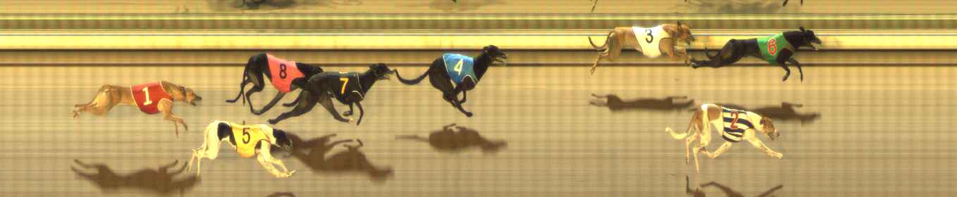 Photo finish for The Meadows Race 12