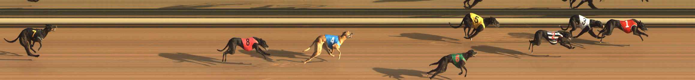 Photo finish for The Meadows Race 1
