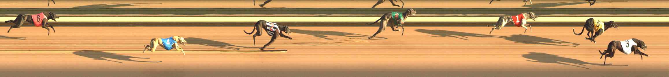 Photo finish for The Meadows Race 2