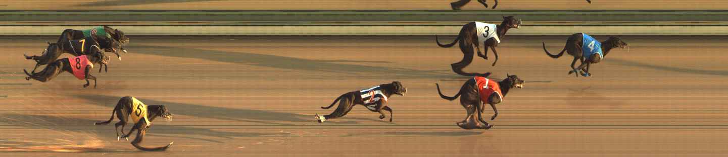Photo finish for The Meadows Race 4