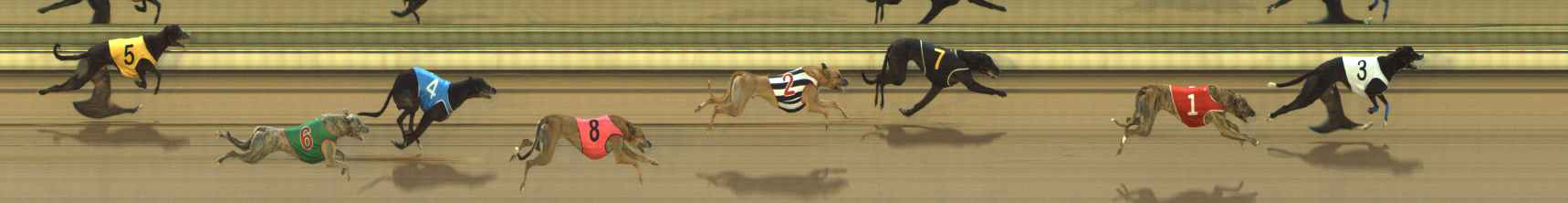 Photo finish for The Meadows Race 5