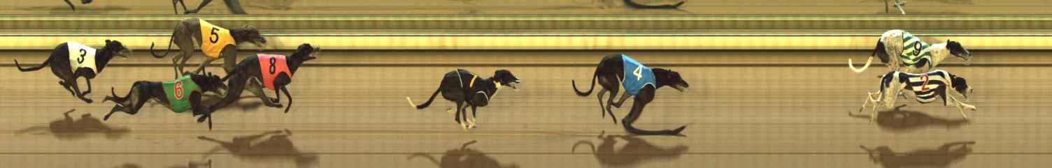 Photo finish for The Meadows Race 6