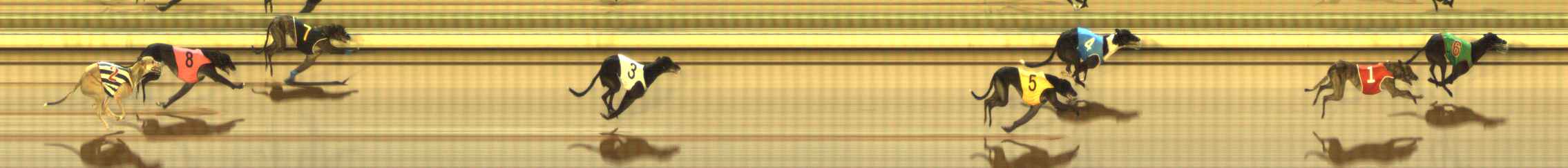 Photo finish for The Meadows Race 7