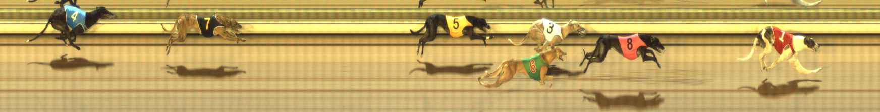 Photo finish for The Meadows Race 8