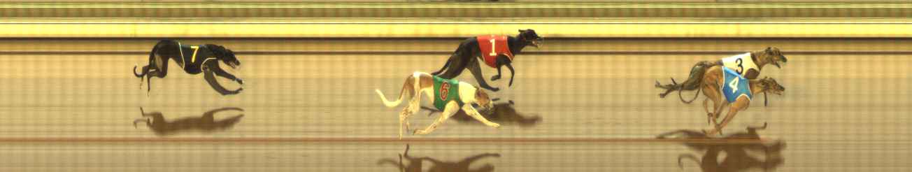 Photo finish for The Meadows Race 9