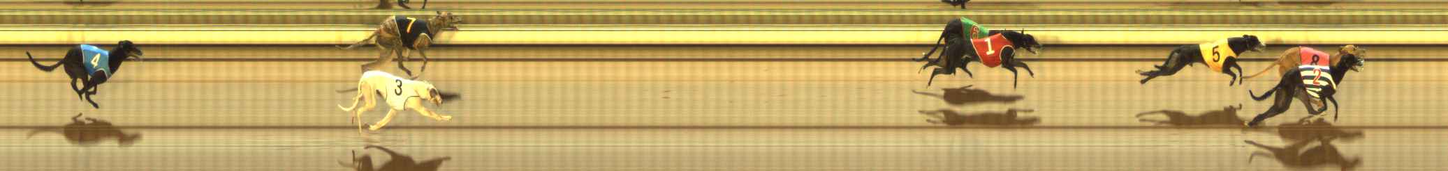 Photo finish for The Meadows Race 10