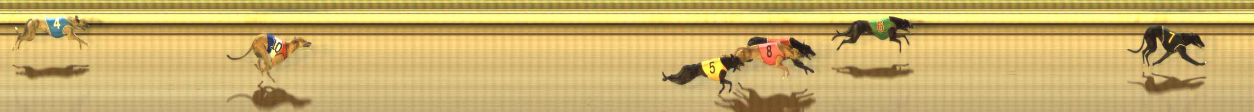Photo finish for The Meadows Race 11