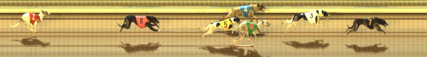 Photo finish for The Meadows Race 12