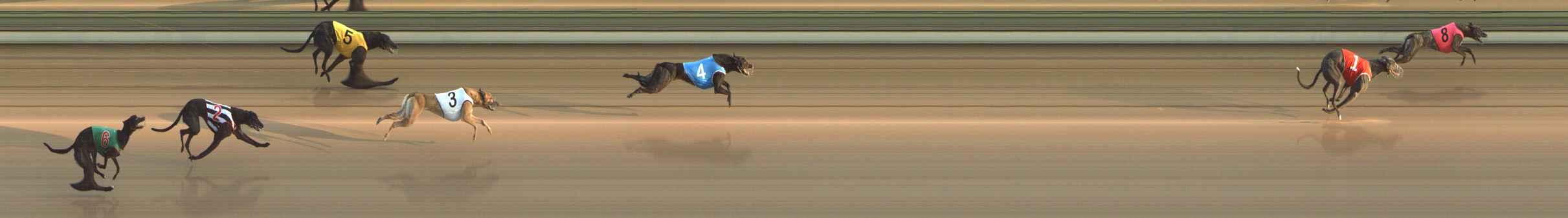 Photo finish for The Meadows Race 2