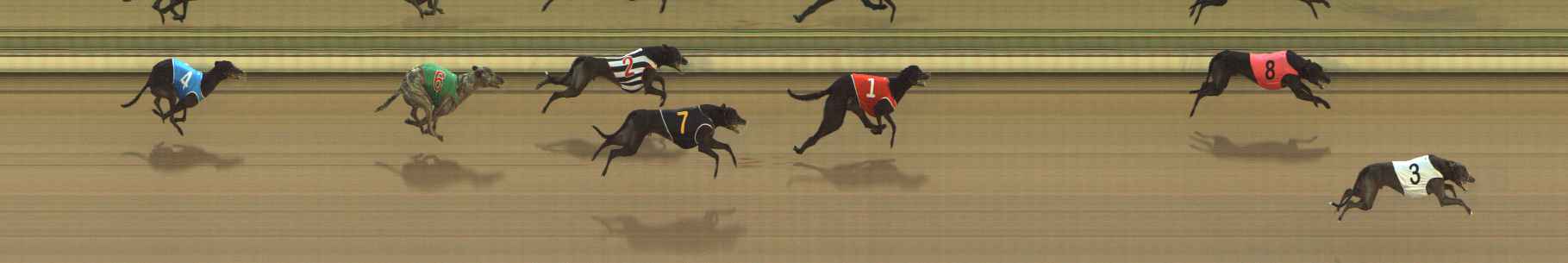 Photo finish for The Meadows Race 4