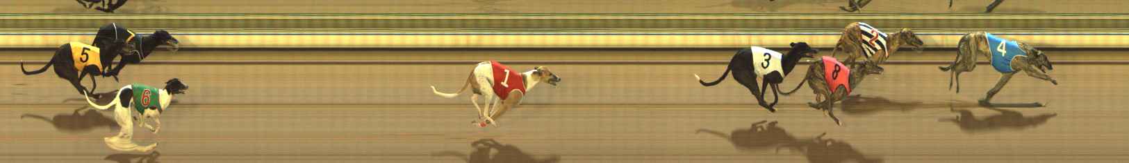 Photo finish for The Meadows Race 5