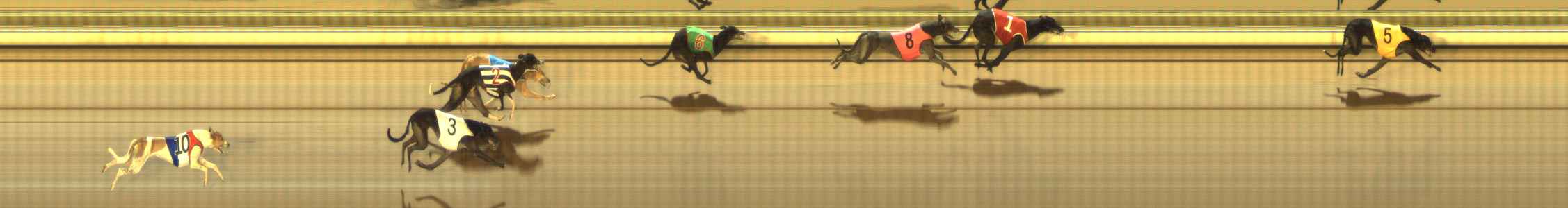 Photo finish for The Meadows Race 7